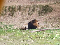 -乐和乐都主题乐园