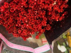 -循礼门鲜花花市(武汉循礼门店)