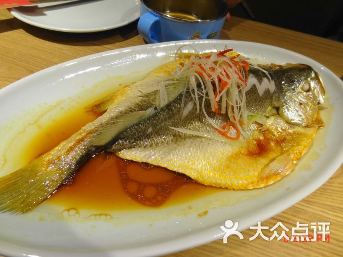 【十元党】再吃精致美味小饺子——船歌