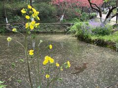 -南山风景名胜区