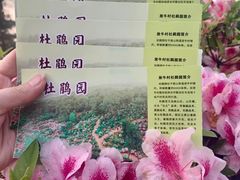 -南山植物园