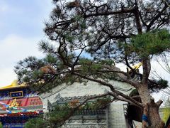 -西安市广仁寺