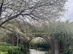 -成都市文化公园