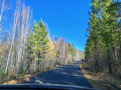 -莫尔道嘎国家森林公园