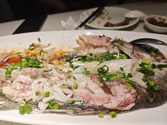 -船歌·鱼水饺青岛菜(金狮广场店)