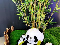 -上上席川菜(凯德乐峰广场店)