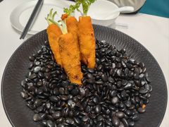 -丁老爷子苏香圆