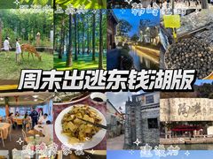 -晓琦农家菜馆·地道农家菜