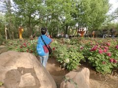 -洛阳市隋唐城遗址植物园