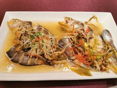-鼎泰丰(渔阳店)