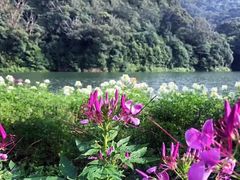 -广州市石门国家森林公园