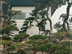 -罗红摄影艺术馆