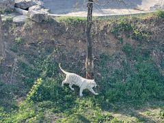 -石家庄市动物园