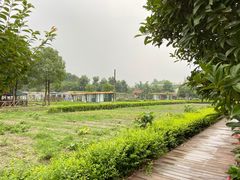 -洪湖家庭农场·团建·露营·会议