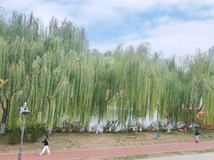 -南翠屏公园