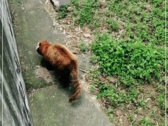 -合肥野生动物园