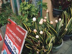 -乌布德传统市场