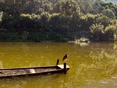 -深圳仙湖植物园