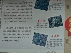 -黔府豆米火锅野菜馆(南马店)