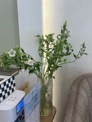 -MIDA蜜哒•科技逆龄美肤连锁