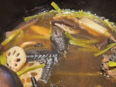 -滇野云南野生菌餐厅(陕西南路店)