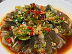 -红鼎豆捞·专注品质海鲜20年(宝丰路店)
