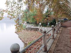-李公堤