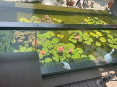 -蘇河湾·新鲁菜·泰山宴(泰山店)
