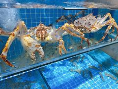 -前王院•巧克力海鲜市集餐厅(万平口店)