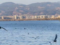 -西昌邛海湿地