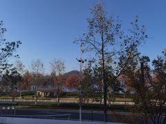 -宝荣鱼馆·临湖之宴(千岛湖店)