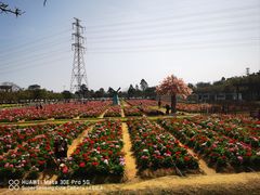 -盈香心动乐园