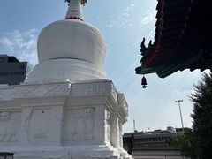 -西塔