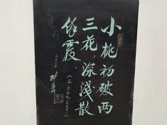 -桃花堤公园