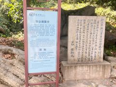 -宜兴张公洞