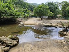 -象头山国家级自然保护区