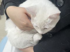-美联众合动物医院·24h京西诊疗中心