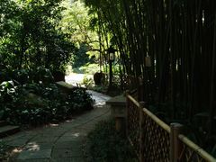 -广州兰圃
