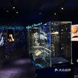 沉浸式看展|欲戴皇冠👑必承其重