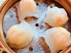 虾饺-捷信牛奶甜品世家(五道口店)