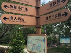 -丹樱生态园