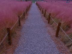 -汉长安城未央宫国家考古遗址公园