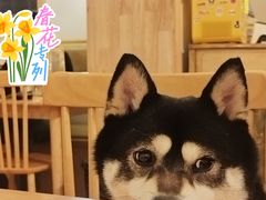 -柴の食堂·日式家庭料理·熊之肆(大学路店)