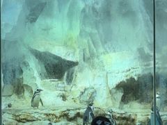 -帝企鹅自助餐厅•儿童岛•真企鹅(长隆企鹅酒店)