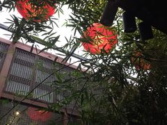-聚缘堂·海鲜私房菜(松岭路店)