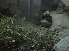 -北京动物园
