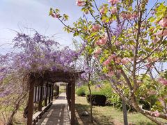 -中华石雕艺术园