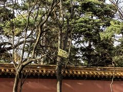 -北陵公园