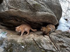 -终南山南五台景区