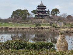 -上海海湾国家森林公园